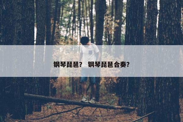 钢琴琵琶？ 钢琴琵琶合奏？