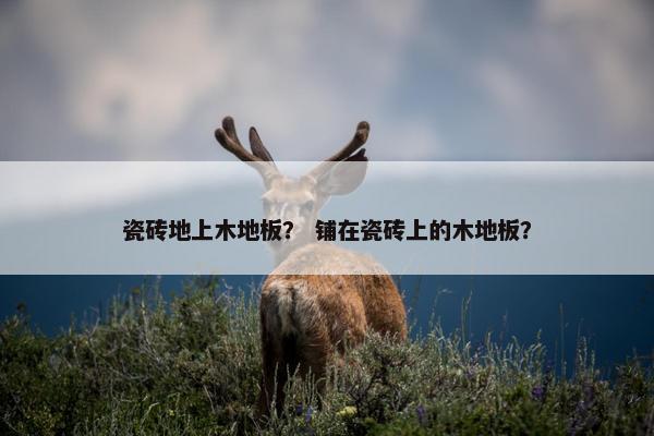 瓷砖地上木地板？ 铺在瓷砖上的木地板？