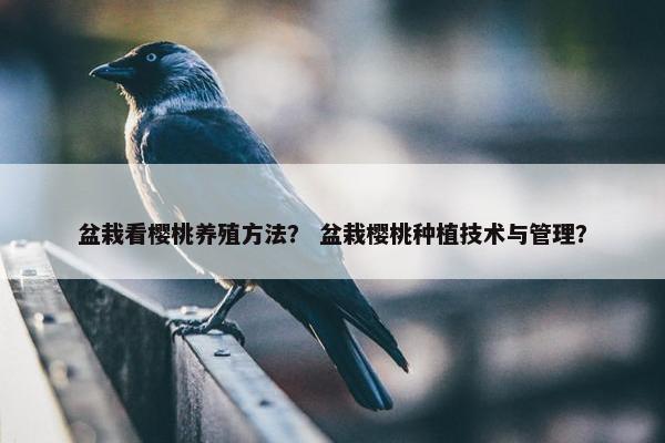 盆栽看樱桃养殖方法？ 盆栽樱桃种植技术与管理？
