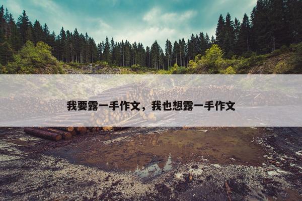 我要露一手作文，我也想露一手作文