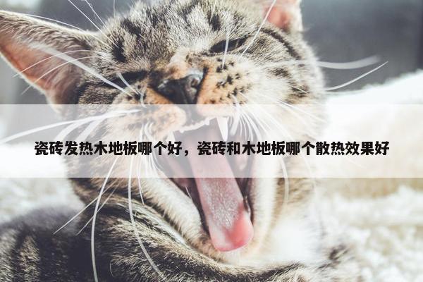 瓷砖发热木地板哪个好，瓷砖和木地板哪个散热效果好