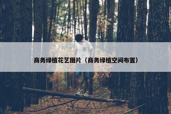 商务绿植花艺图片（商务绿植空间布置）