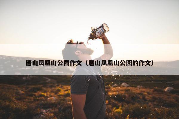 唐山凤凰山公园作文（唐山凤凰山公园的作文）