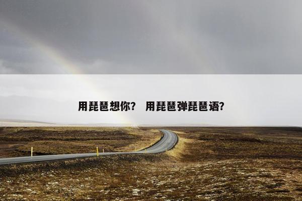 用琵琶想你？ 用琵琶弹琵琶语？