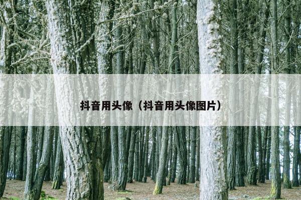 抖音用头像（抖音用头像图片）