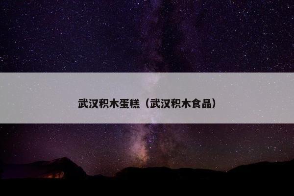 武汉积木蛋糕（武汉积木食品）