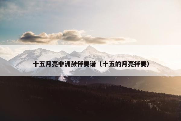 十五月亮非洲鼓伴奏谱（十五的月亮拌奏）