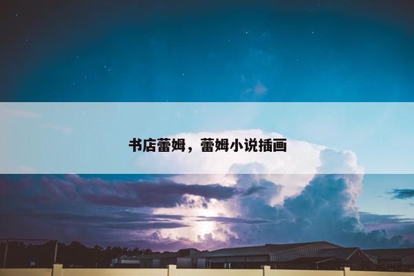 书店蕾姆，蕾姆小说插画