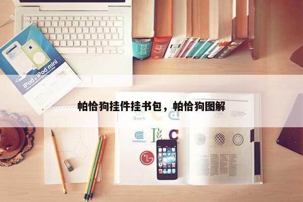 帕恰狗挂件挂书包，帕恰狗图解