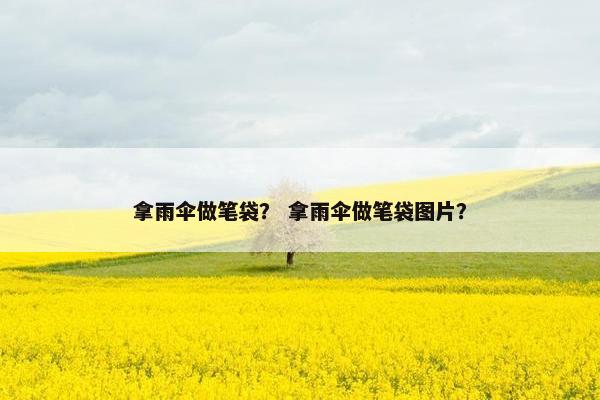 拿雨伞做笔袋？ 拿雨伞做笔袋图片？