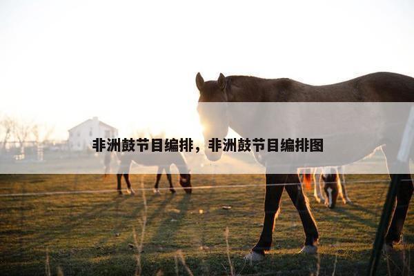 非洲鼓节目编排，非洲鼓节目编排图