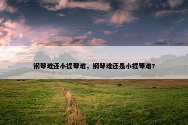 钢琴难还小提琴难，钢琴难还是小提琴难?