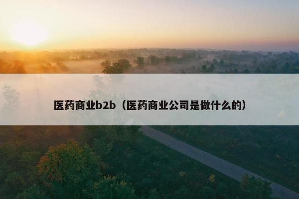 医药商业b2b（医药商业公司是做什么的）