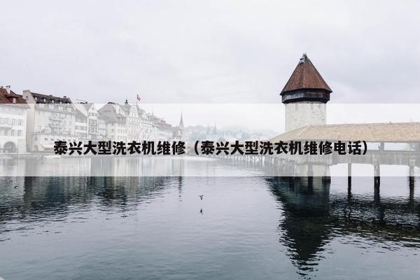 泰兴大型洗衣机维修（泰兴大型洗衣机维修电话）