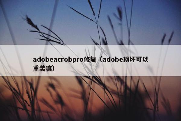 adobeacrobpro修复（adobe损坏可以重装嘛）