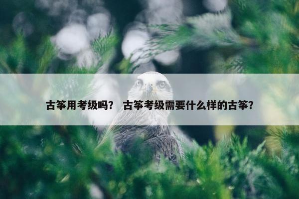 古筝用考级吗？ 古筝考级需要什么样的古筝？
