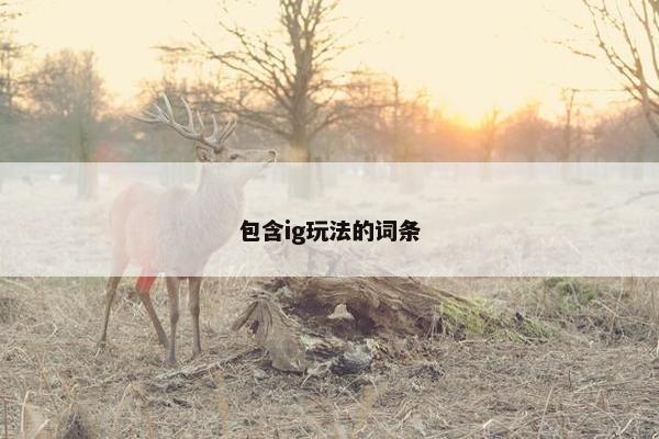 包含ig玩法的词条