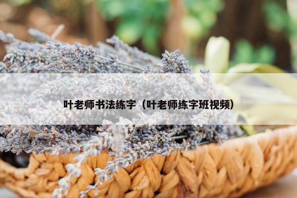 叶老师书法练字（叶老师练字班视频）