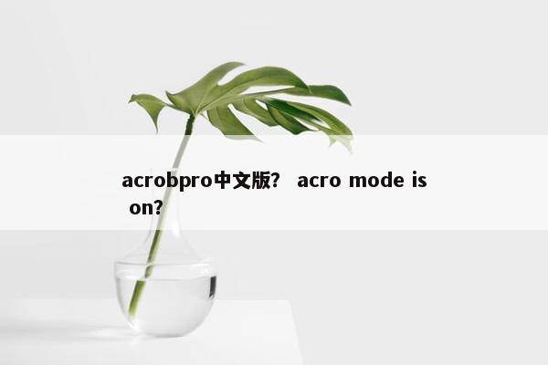 acrobpro中文版？ acro mode is on？