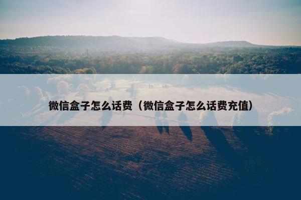 微信盒子怎么话费（微信盒子怎么话费充值）