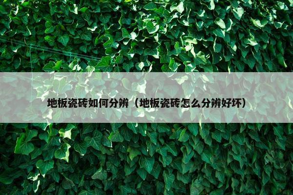 地板瓷砖如何分辨（地板瓷砖怎么分辨好坏）