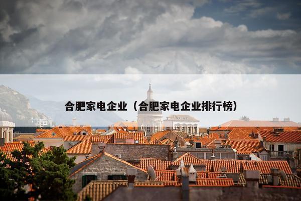 合肥家电企业（合肥家电企业排行榜）