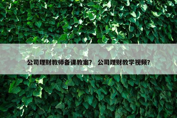 公司理财教师备课教案？ 公司理财教学视频？