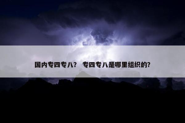 国内专四专八？ 专四专八是哪里组织的？