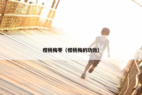 樱桃梅枣（樱桃梅的功效）