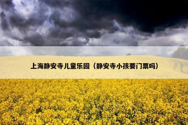 上海静安寺儿童乐园（静安寺小孩要门票吗）