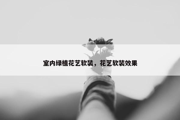 室内绿植花艺软装，花艺软装效果