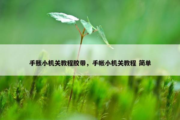 手账小机关教程胶带，手帐小机关教程 简单
