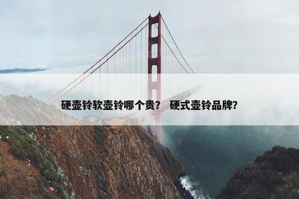 硬壶铃软壶铃哪个贵？ 硬式壶铃品牌？