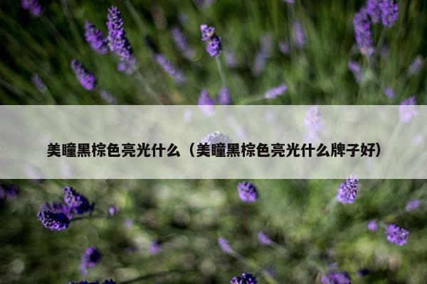 美瞳黑棕色亮光什么（美瞳黑棕色亮光什么牌子好）