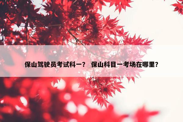 保山驾驶员考试科一？ 保山科目一考场在哪里？