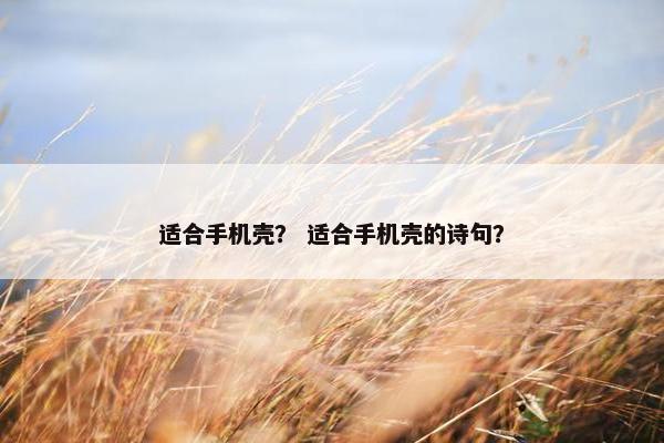 适合手机壳？ 适合手机壳的诗句？
