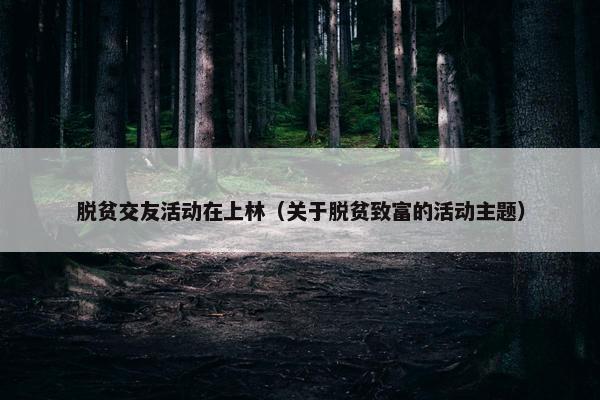 脱贫交友活动在上林（关于脱贫致富的活动主题）