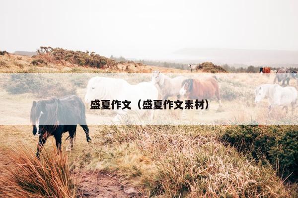 盛夏作文（盛夏作文素材）