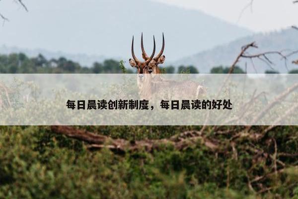 每日晨读创新制度，每日晨读的好处