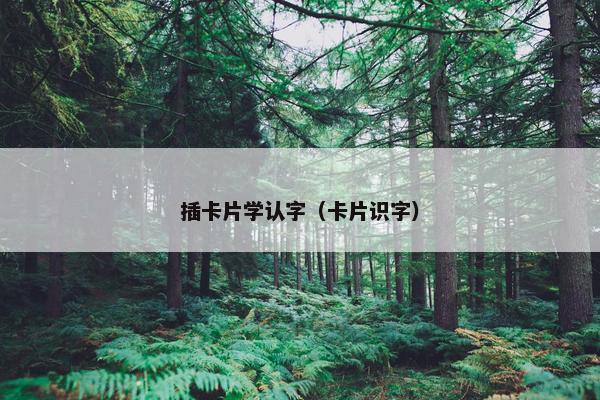 插卡片学认字（卡片识字）