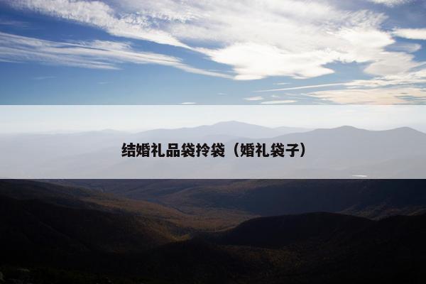 结婚礼品袋拎袋（婚礼袋子）