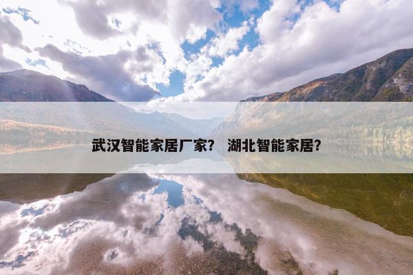 武汉智能家居厂家？ 湖北智能家居？