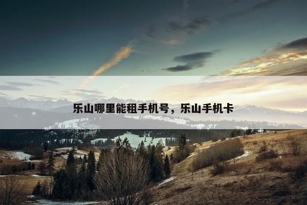 乐山哪里能租手机号，乐山手机卡