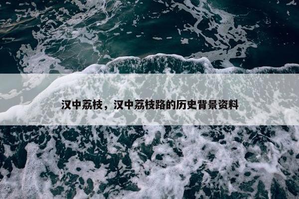汉中荔枝，汉中荔枝路的历史背景资料