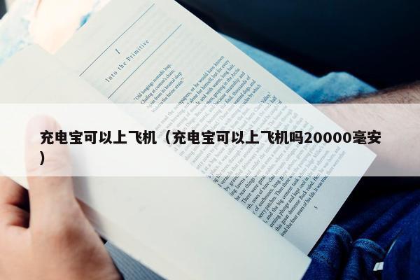 充电宝可以上飞机（充电宝可以上飞机吗20000毫安）