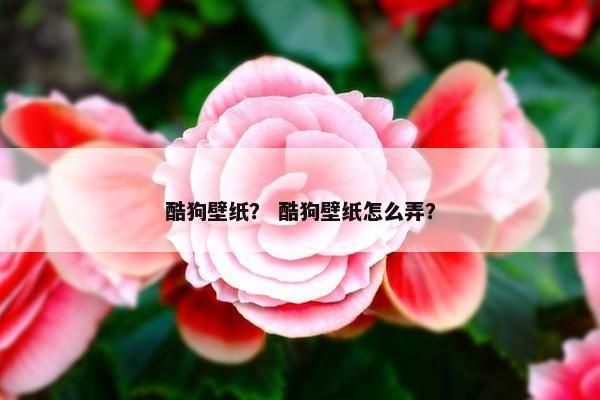 酷狗壁纸？ 酷狗壁纸怎么弄？