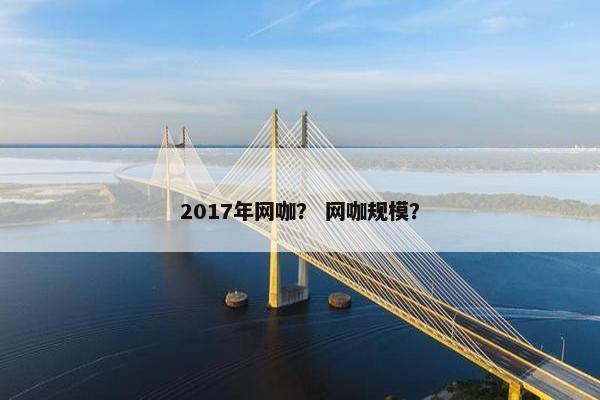 2017年网咖？ 网咖规模？