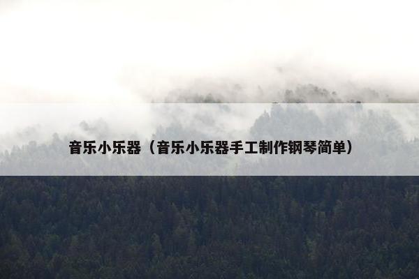 音乐小乐器（音乐小乐器手工制作钢琴简单）