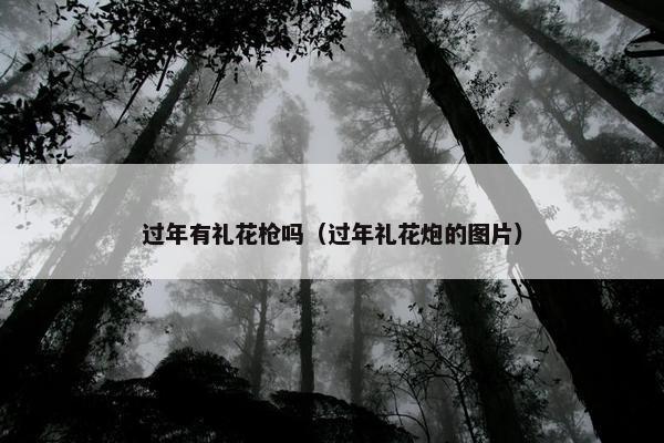 过年有礼花枪吗（过年礼花炮的图片）