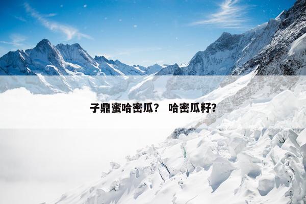 子鼎蜜哈密瓜？ 哈密瓜籽？